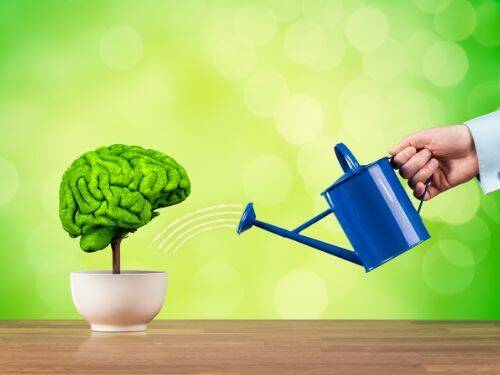 Trening mózgu i pamięci: sprawdzone ćwiczenia dla Twojego umysłu